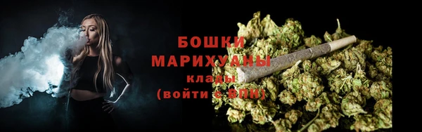 дмт Заводоуковск