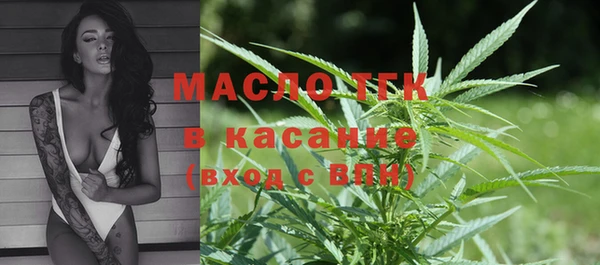 сатива Горячеводский